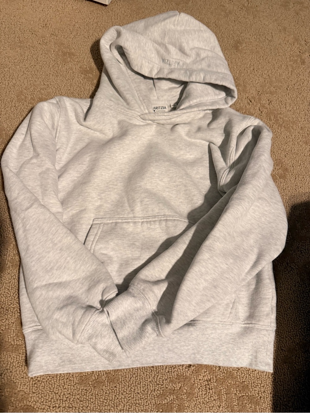 Aritzia Heather Gray Pullover Hoodie